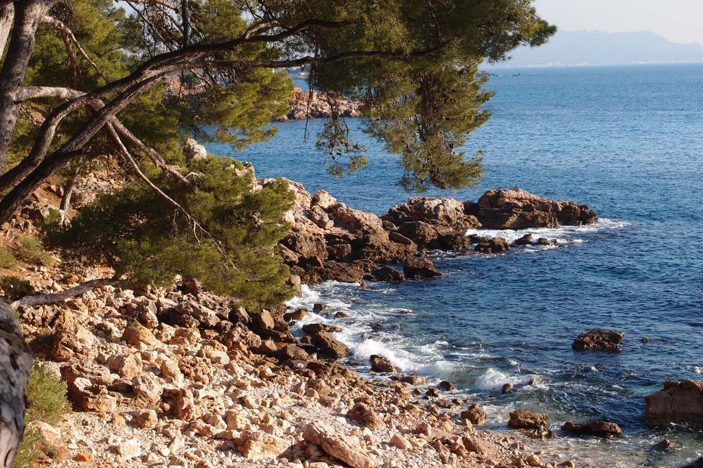 Au Cœur De La Appartement Bandol